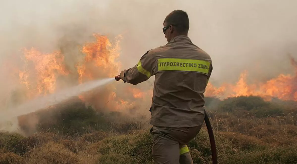 Panică în Grecia: Incendiu puternic de pădure lângă Atena