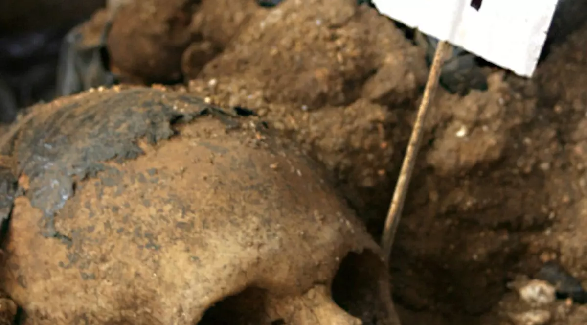 Peste 80 de cadavre, descoperite la Sankt Petersburg