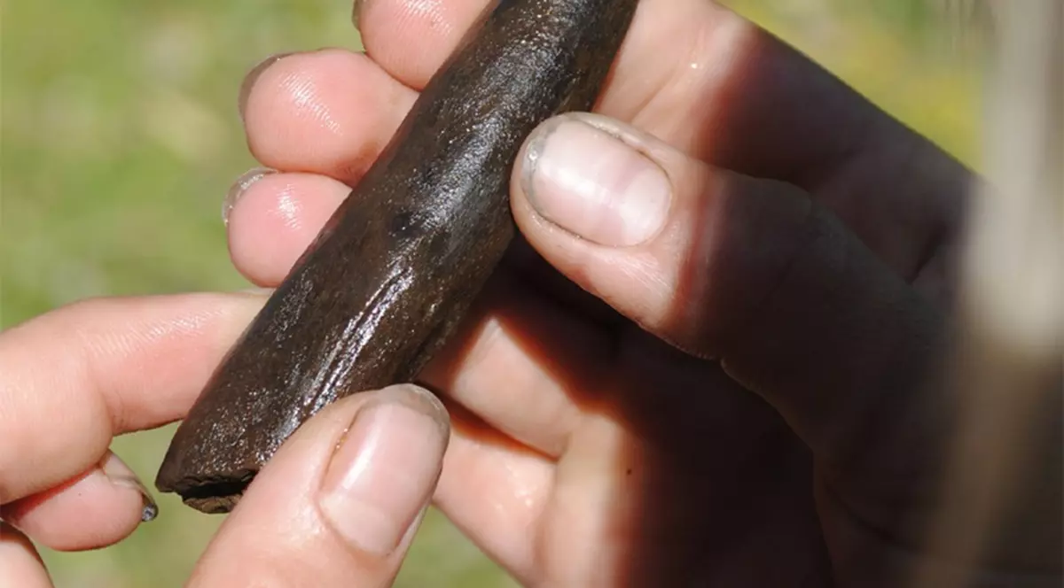 Femeile preistorice foloseau vibratoare din os