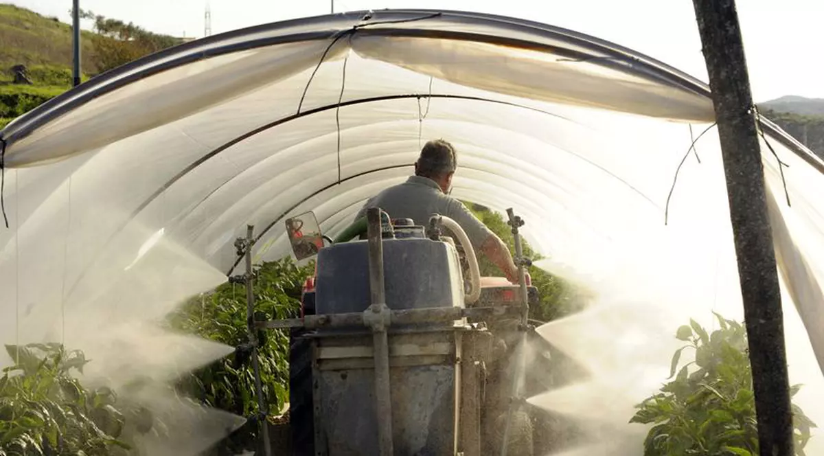 Fermierii germani caută culegători români