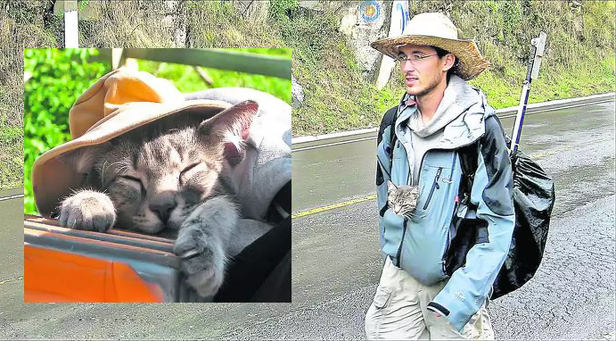 Pisi, ce-ţi mai place să te plimbi!