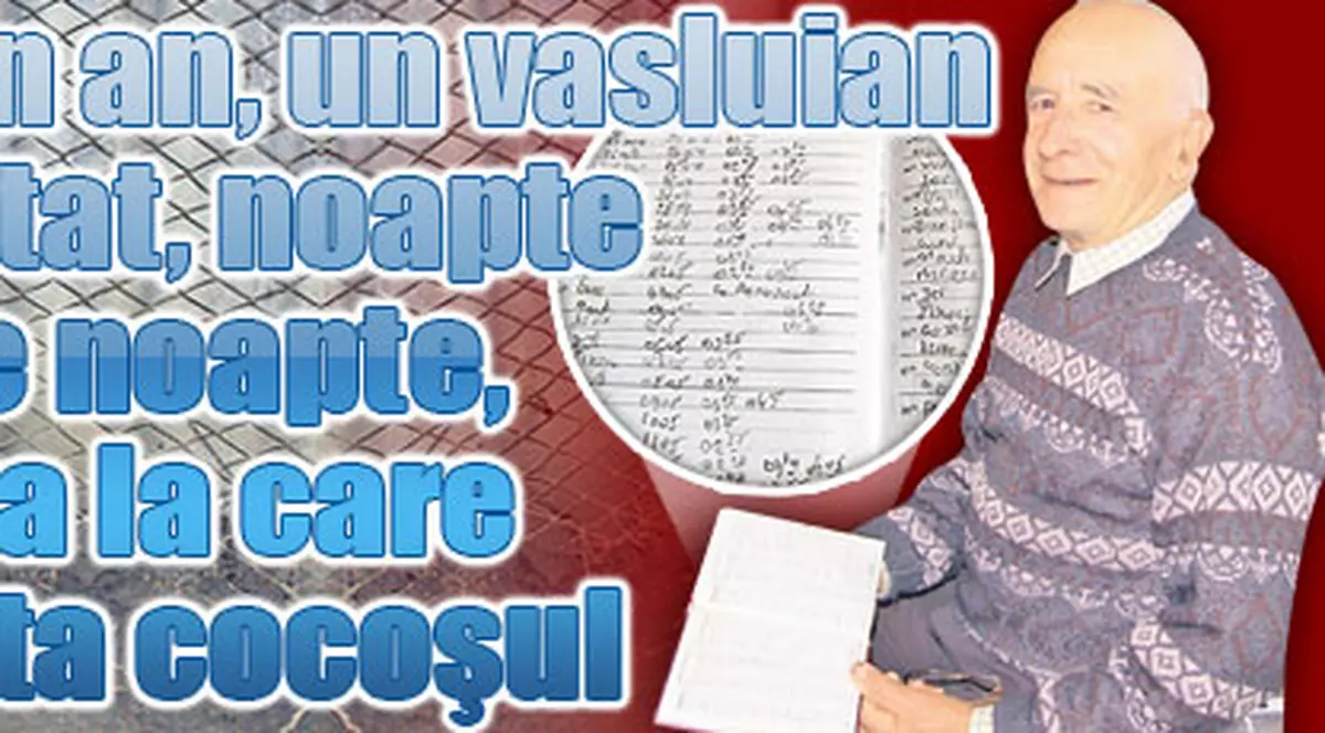 Timp de un an, un vasluian a notat, noapte de noapte, ora la care cânta cocoşul