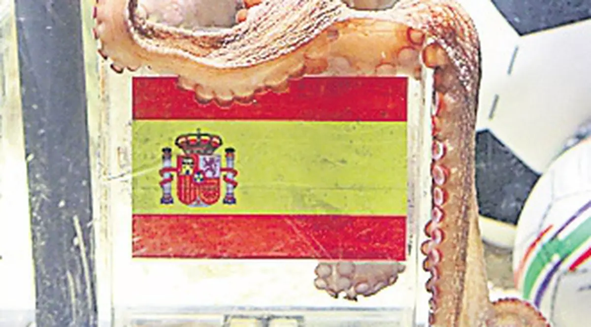 Adevărul despre caracatiţa Paul!