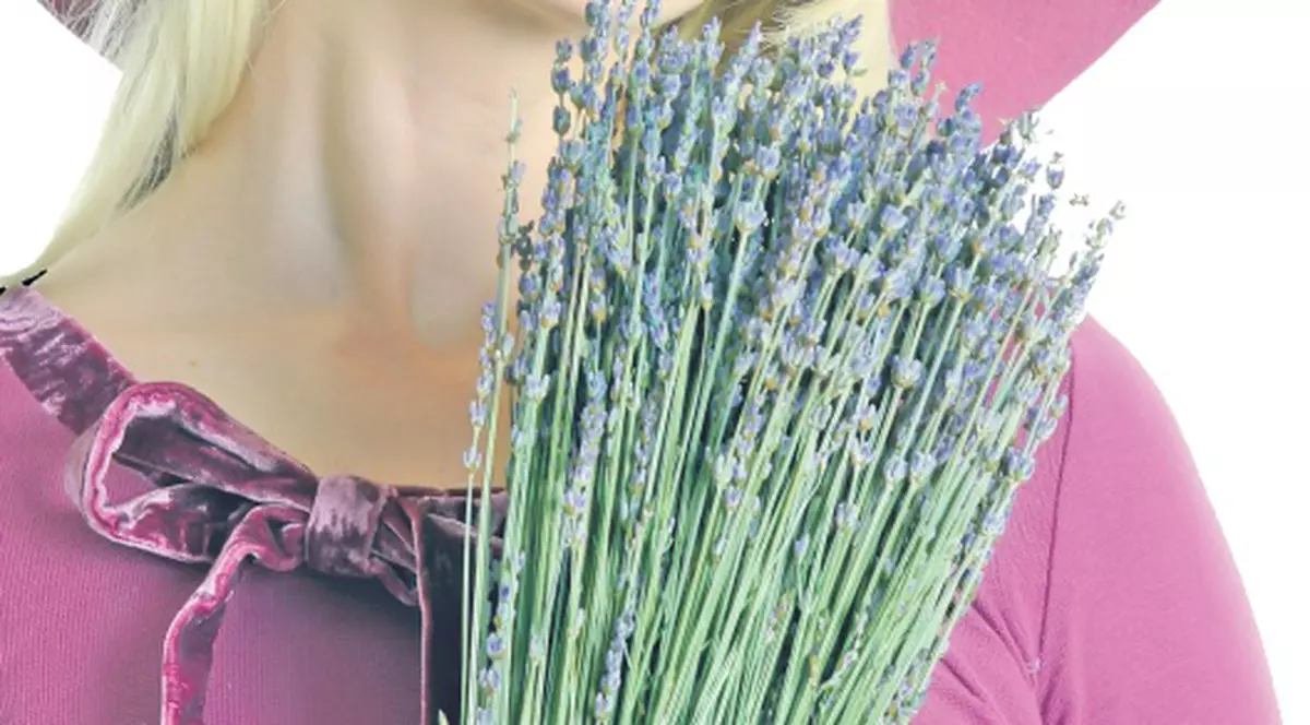 Şapte leacuri cu lavandă