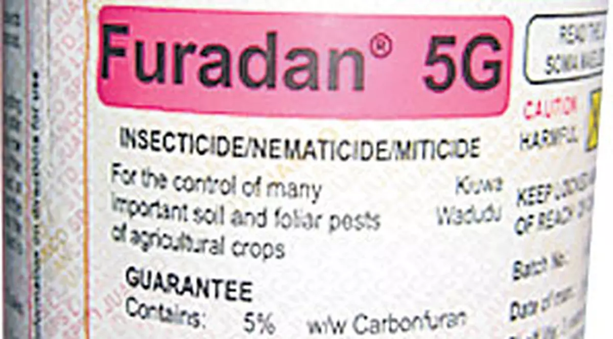 O admiratoare a adus otrava care a ucis-o pe Mădălina Manole