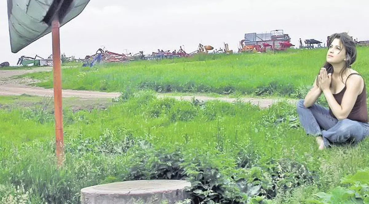 Se roagă la barză să rămână gravide