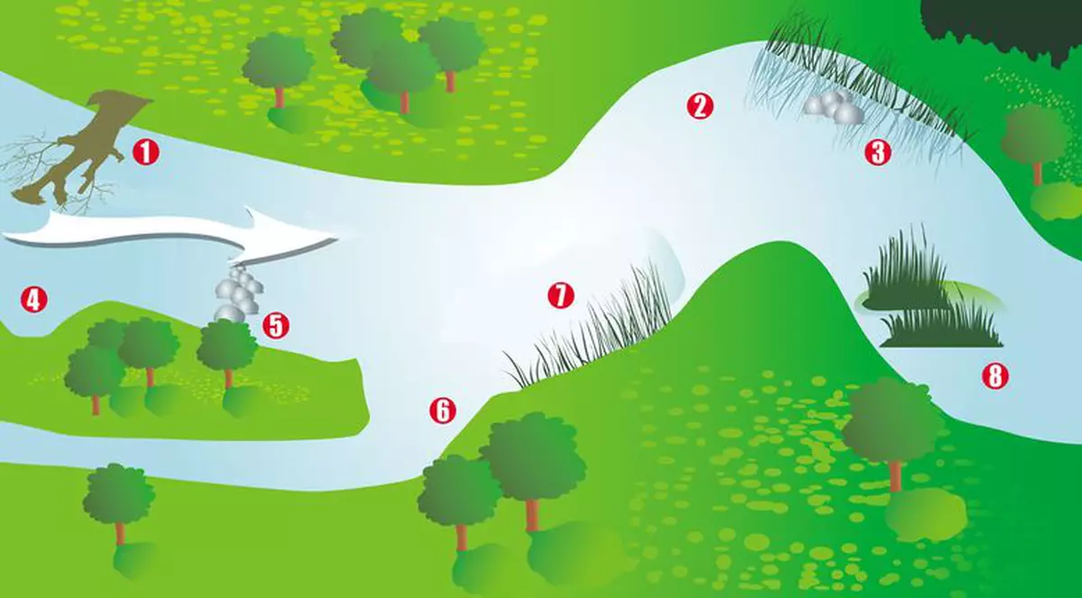 Pescuieşti pe râu? Iată unde prinzi cel mai bine crapul