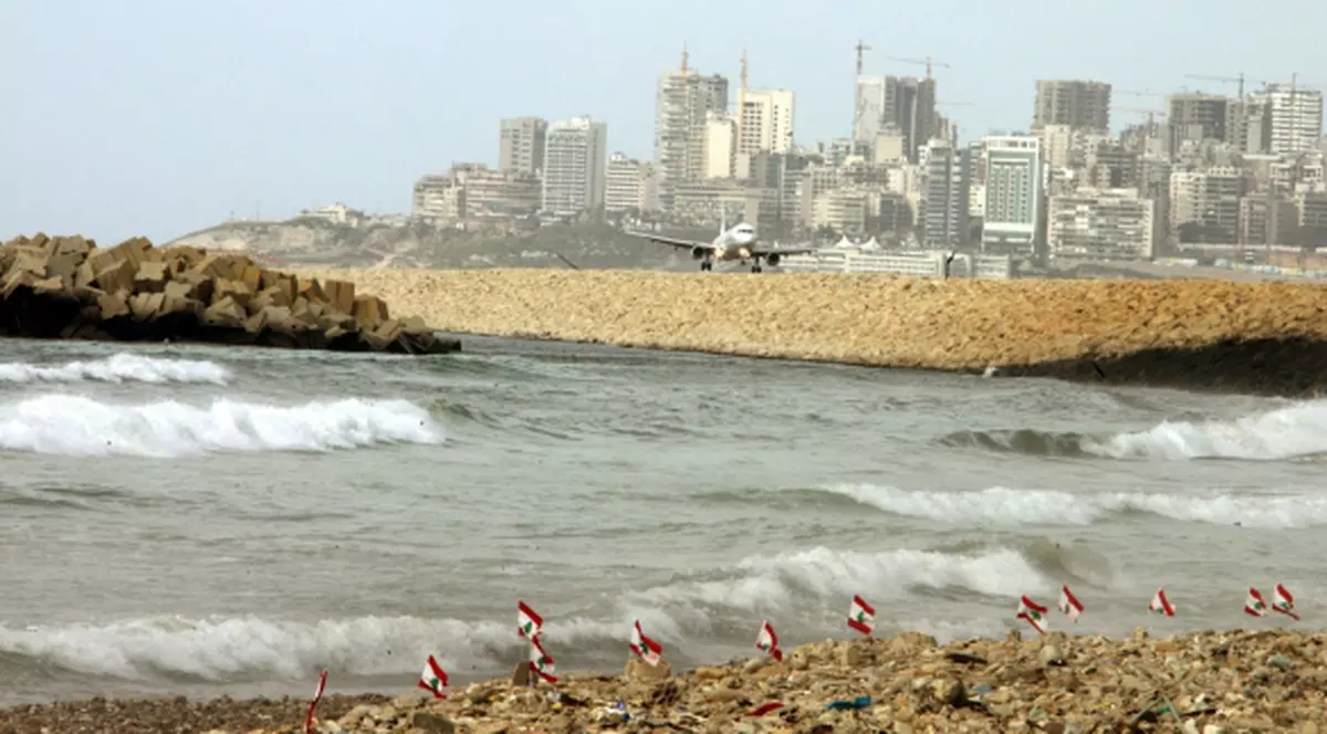 Animalele din Marea Mediterană, pe cale de dispariţie