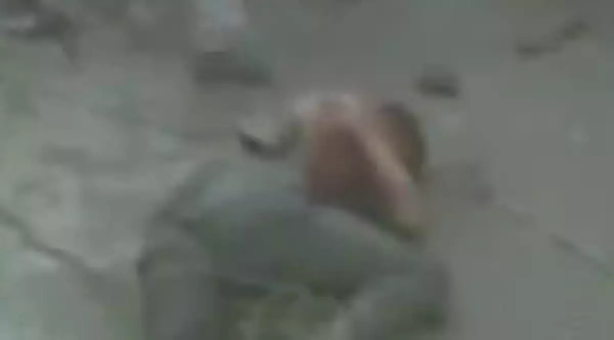 Video | Terifiant! Doi bărbaţi au fost ucişi cu pietre în Pakistan 