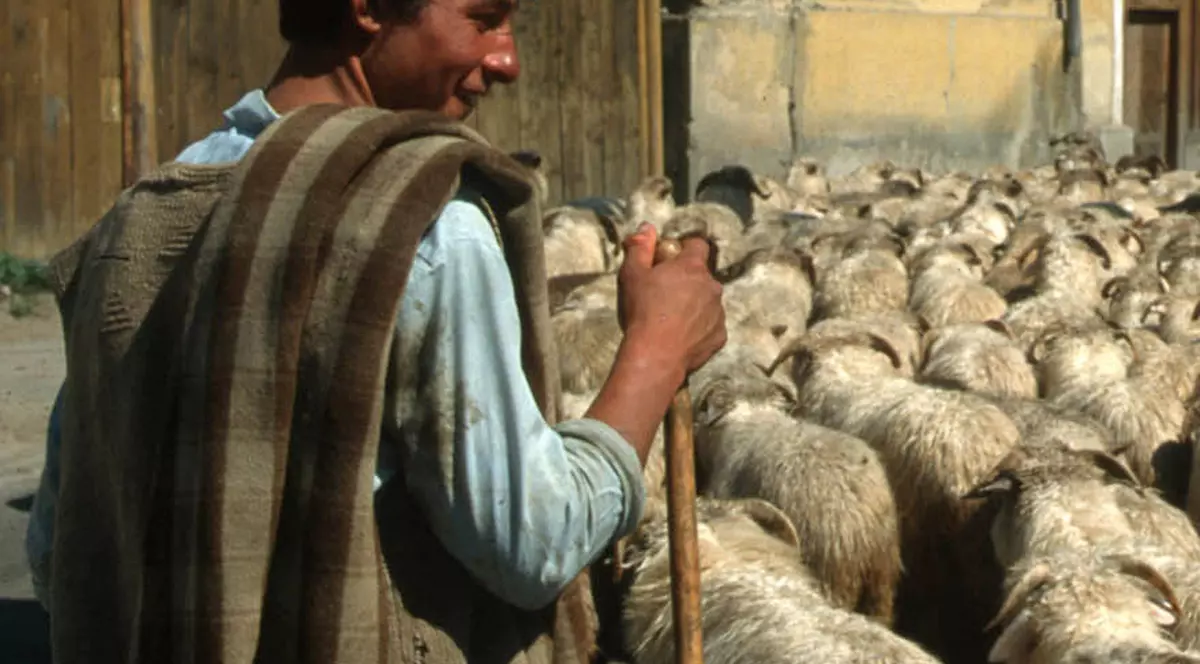 Un cioban bulgar, suspectat că suferă de antrax 