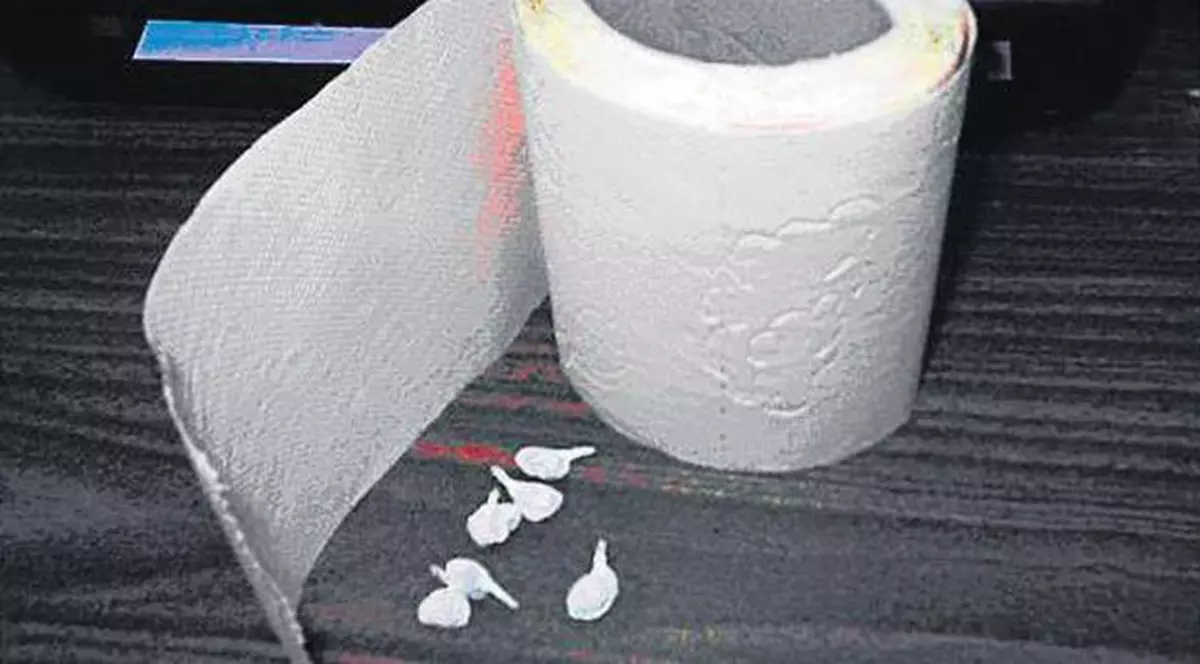 Droguri ascunse în hârtia igienică