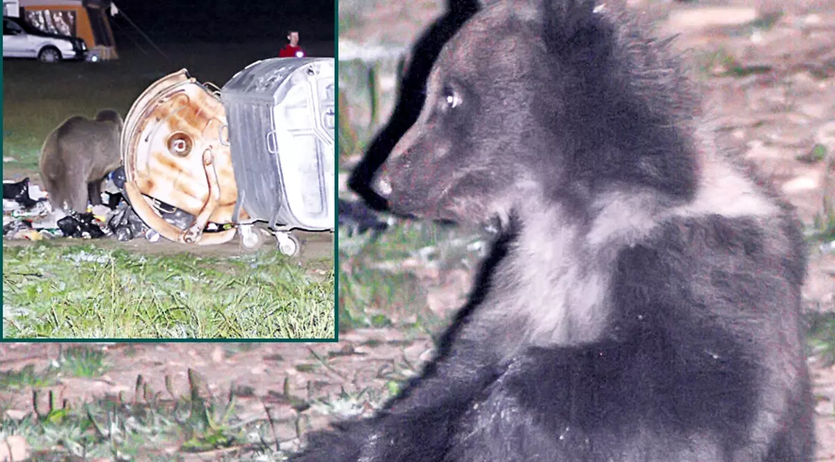 Mami, şi mie mi-e foame!