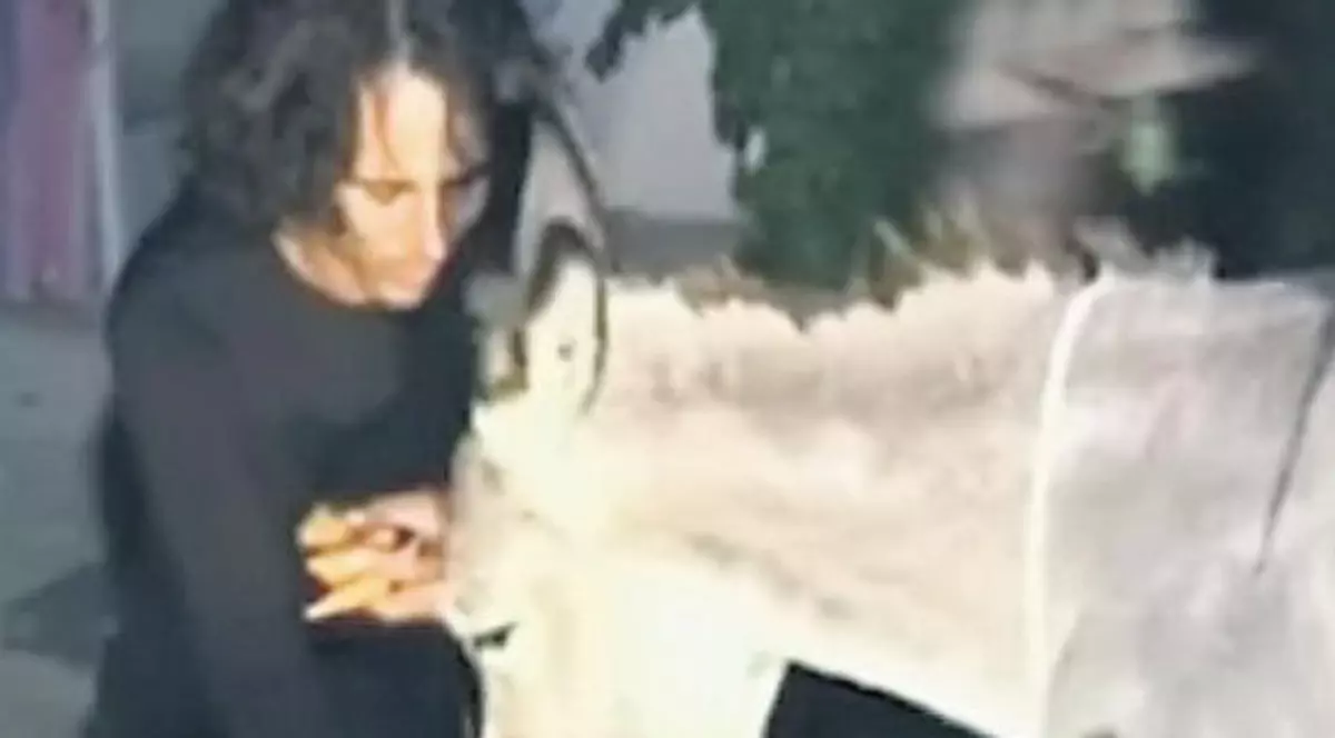 A venit cu măgarul la hotel