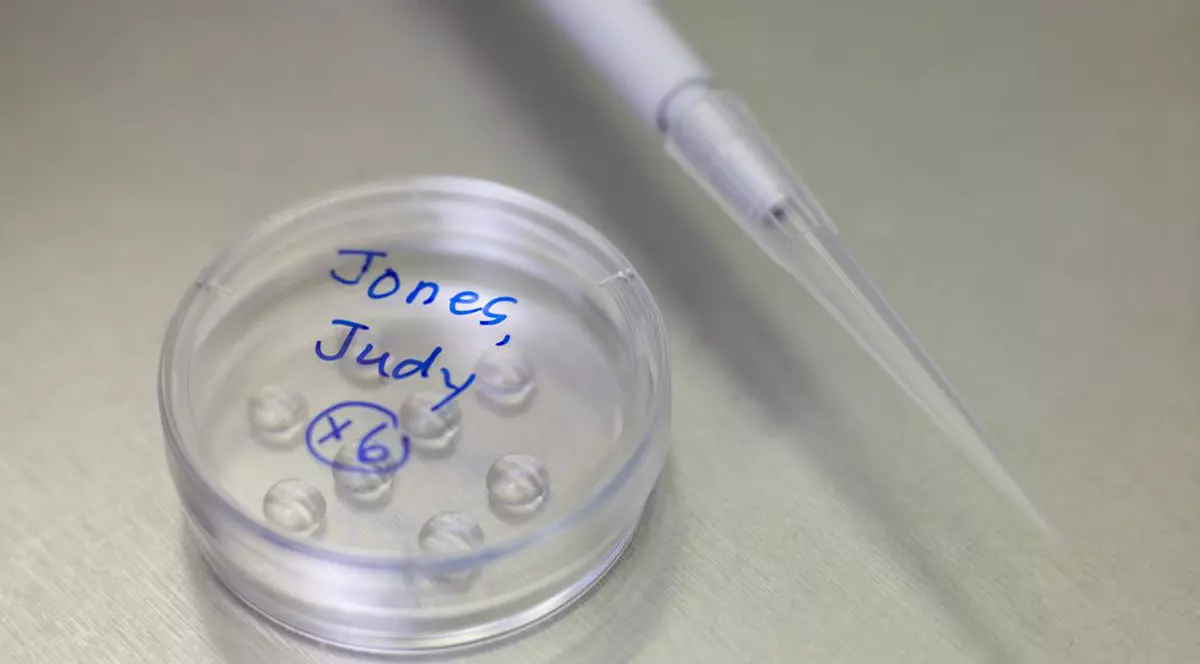 Cinci bulgari şi o româncă, arestaţi pentru trafic de ovule