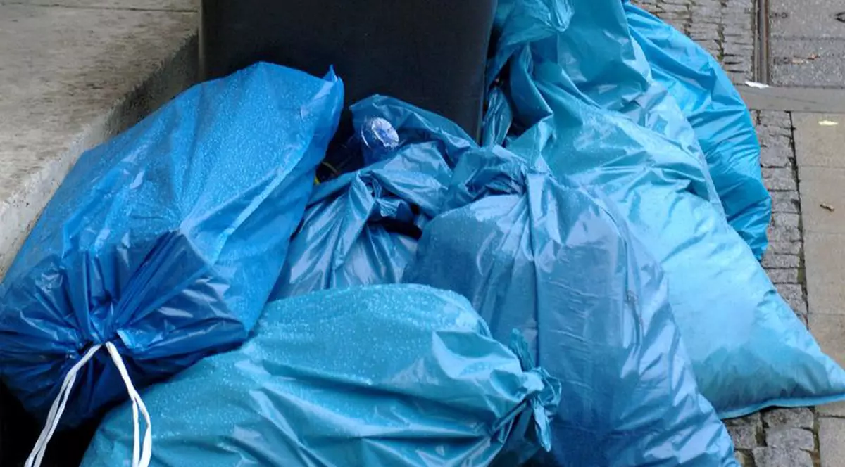 Peste 150.000 de voluntari au participat la proiectul "Let's do it Romania!" 