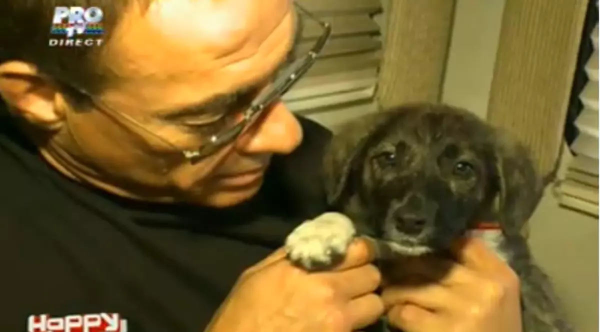 Jean-Claude Van Damme iubeşte maidanezii