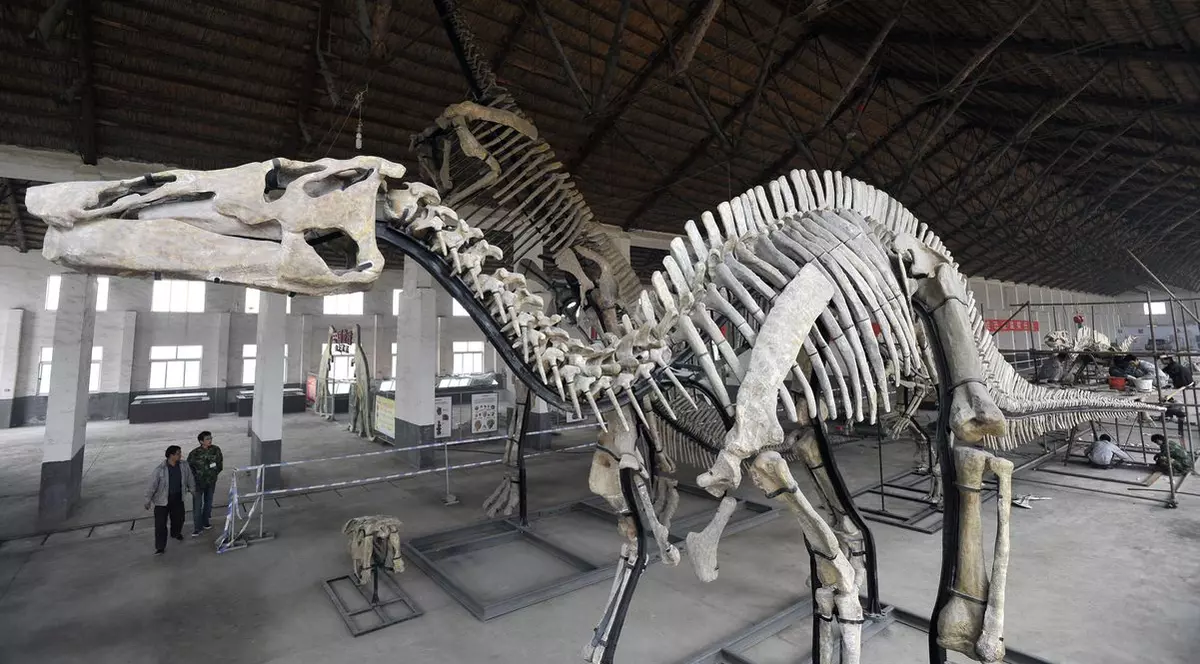 Schelete de dinozauri, scoase la vânzare