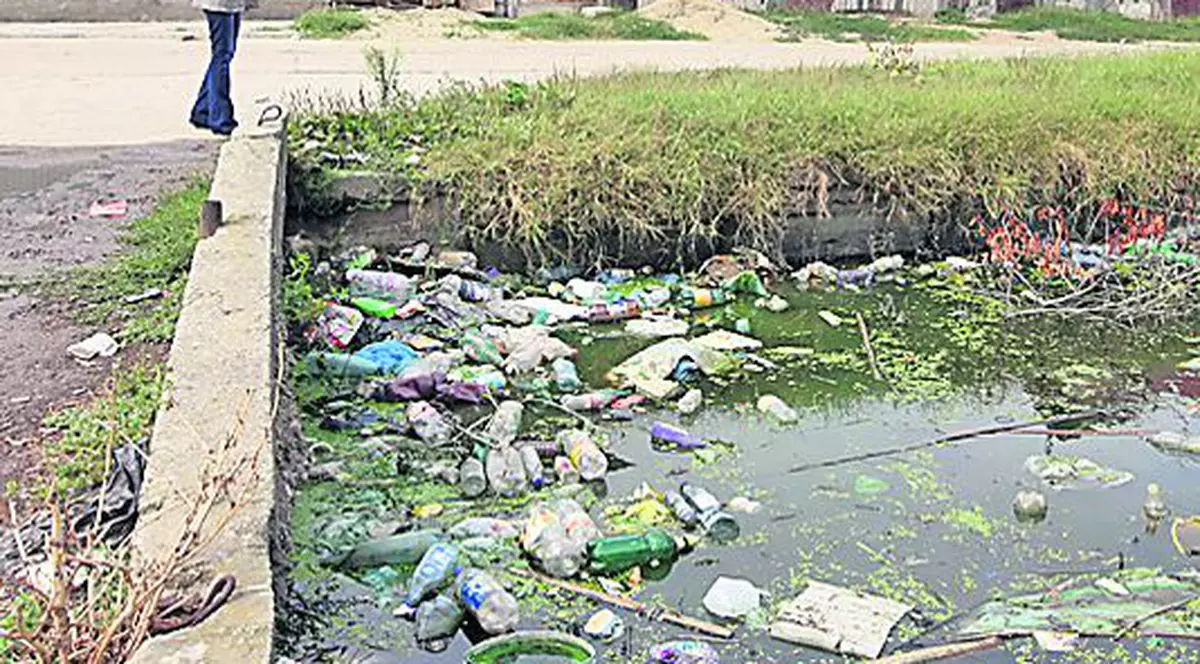 Un nou deces cauzat de virusul West Nile. În cinci luni au fost peste 50 de cazuri de infecții cu West Nile și 9 decese