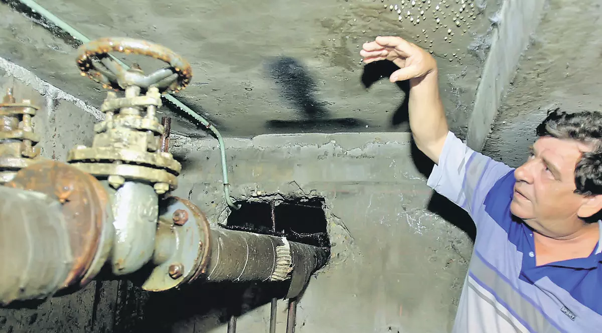 Ce trebuie să faceţi ca să nu vă infectaţi cu virusul West Nile: «Curăţaţi-vă urgent subsolurile!»