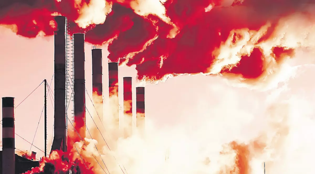 Fenomen straniu: Se sinucid copacii!