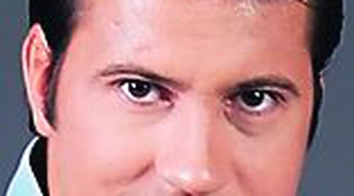 Huidu doarme la birou, în hamac