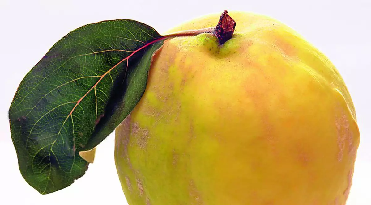 Îndulceste-te cu gutui