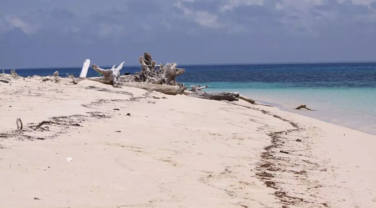 Accident aviatic soldat 12 morți. Un avion ușor s-a prăbușit în Papua Noua Guinee