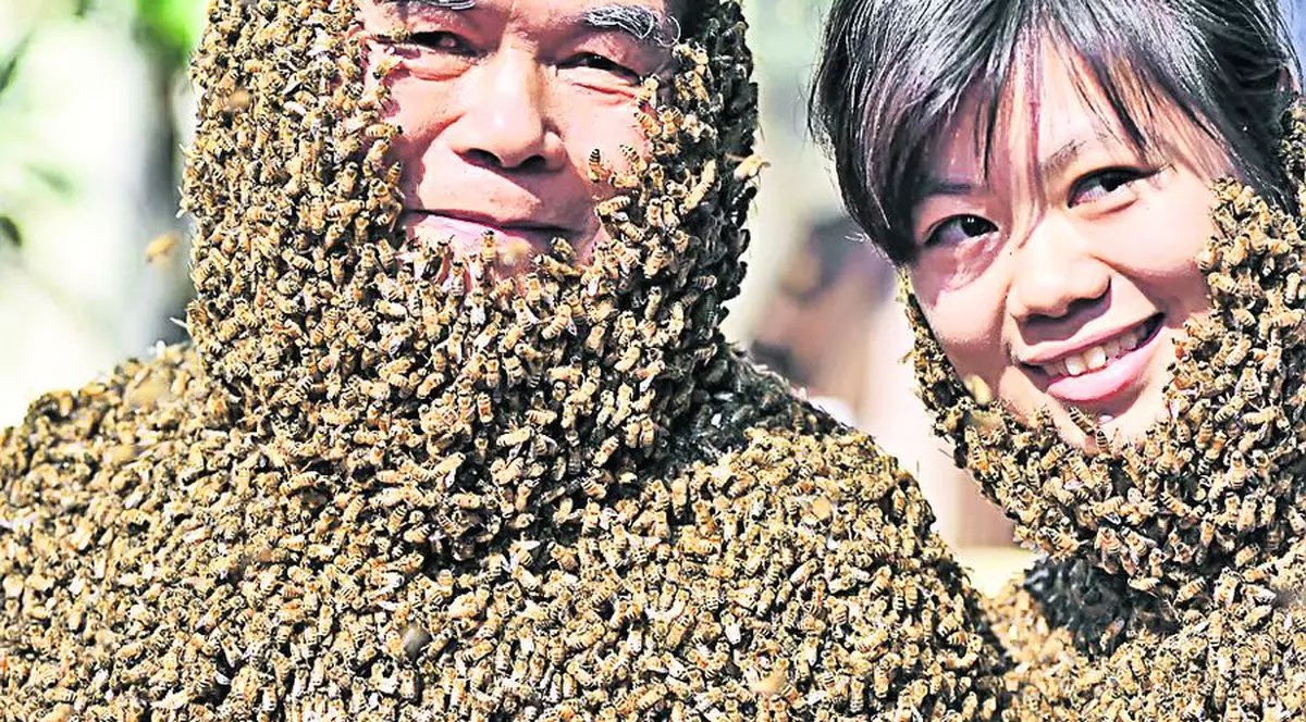 Ei sunt oamenii-albină