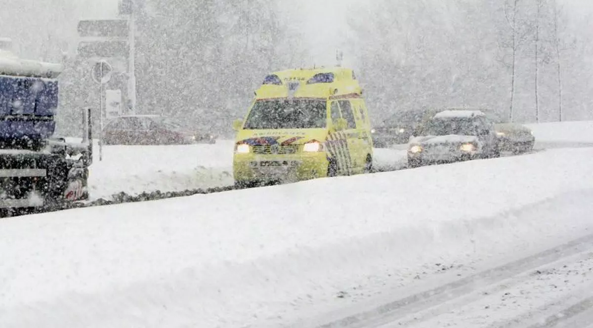 Viscolul şi zăpada au provocat haos în Europa: peste zece morţi şi traficul blocat