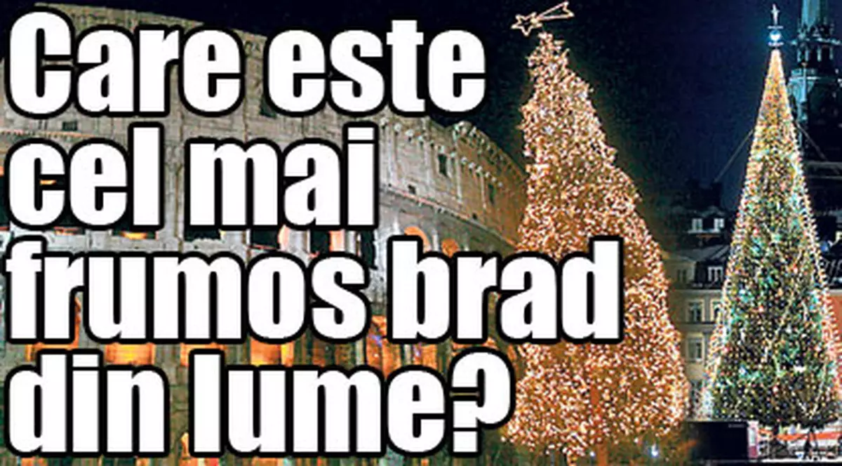 Care e cel mai frumos brad?
