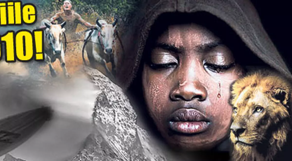 Iată fotografiile anului 2010