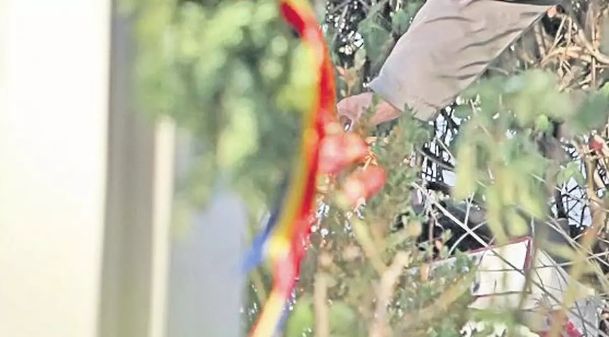 O mamă al cărei băiat a murit la Revoluţie: "Aveţi grijă de libertatea cucerită de fiul meu"