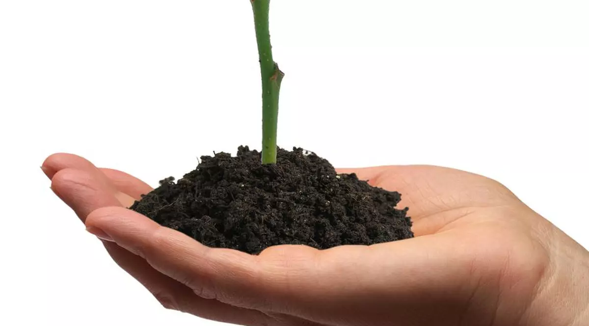 Născut ca să-şi salveze sora / Max Matthews, un băieţel de un an şi cinci luni, a fost conceput special pentru a deveni donator de măduvă