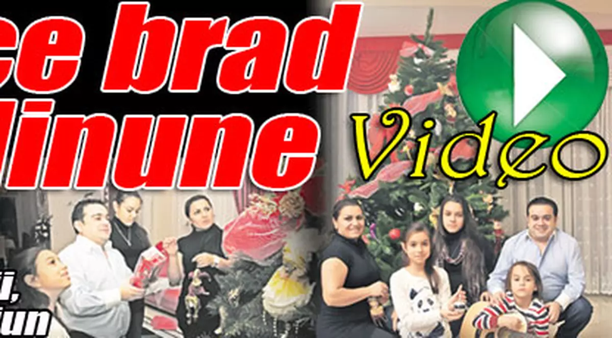 Exclusiv | Minune şi-a împodobit singur bradul