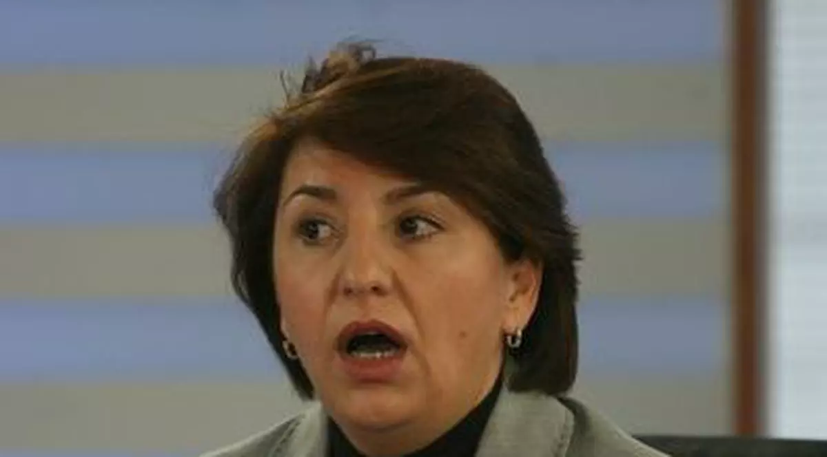 Sulfina Barbu: "Miniştrii Apărării, Internelor şi Muncii sunt responsabili pentru scandalul pensiilor" 