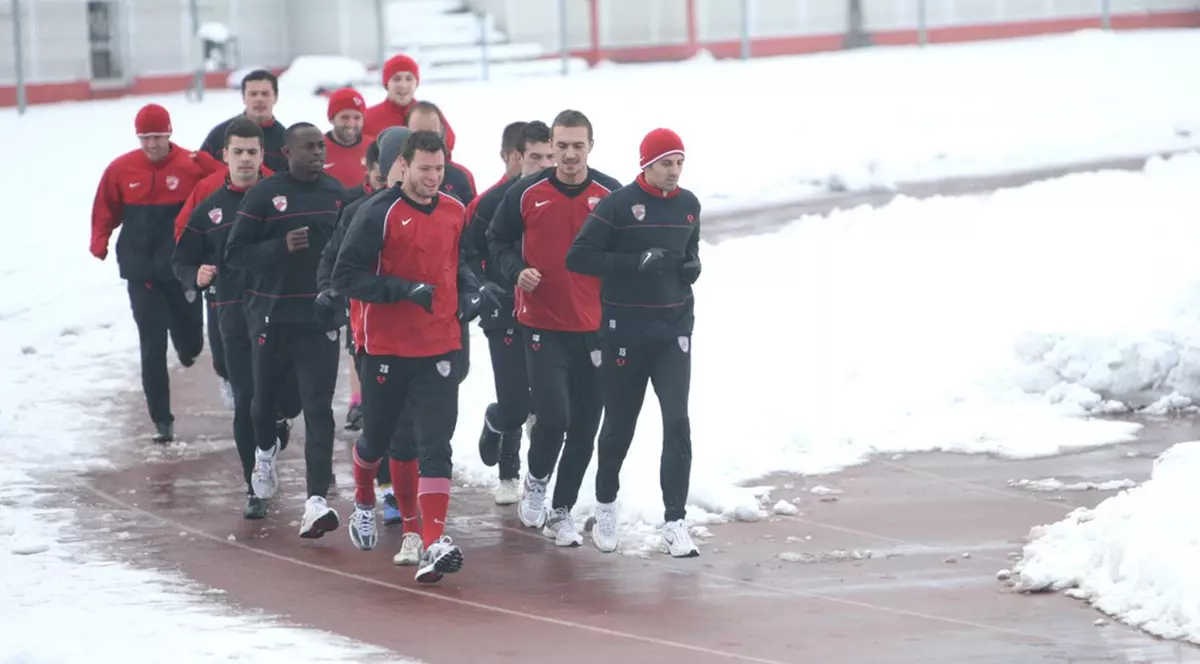 Foto | S-au reunit "câinii"