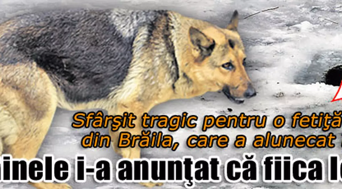 Câinele i-a anunţat că fiica lor a murit