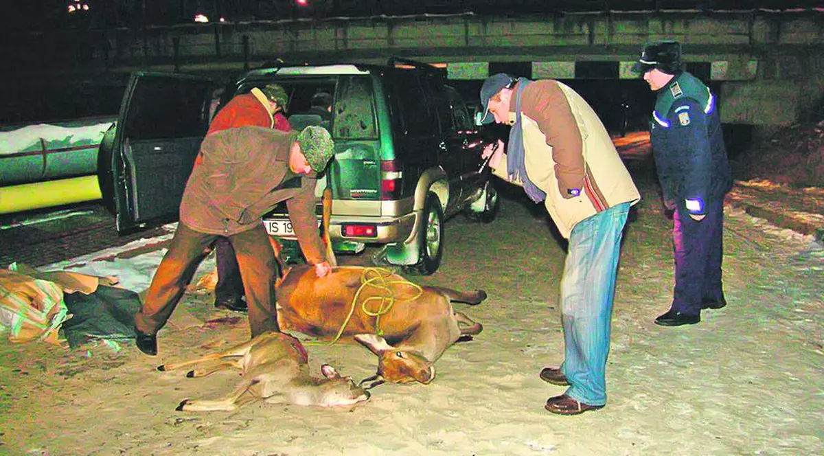 Fostul şef al poliţiei Vaslui a fost prins la braconaj a vânat căprioare de 20.000 de euro