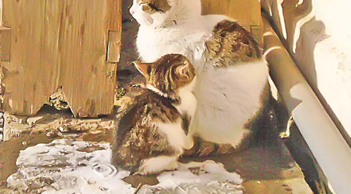 Mmm... Ce bine e la soare!