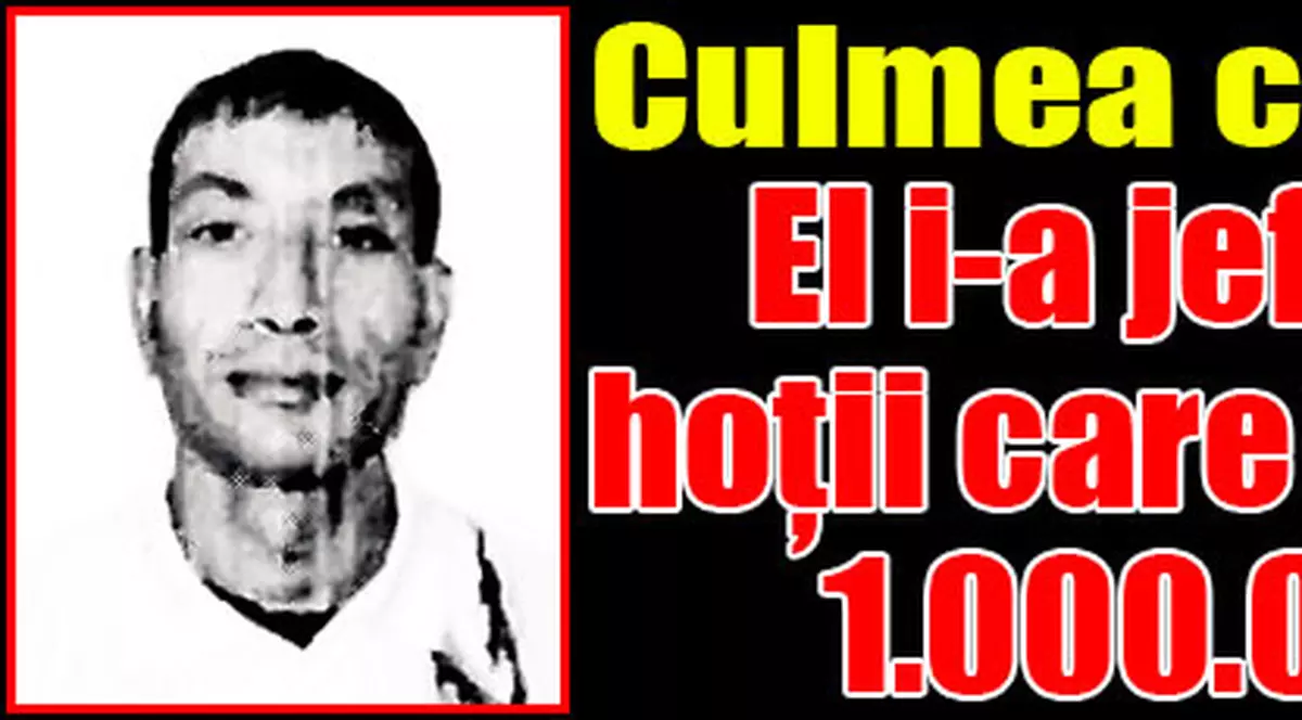 Hoţii milionului de euro, jefuiţi!