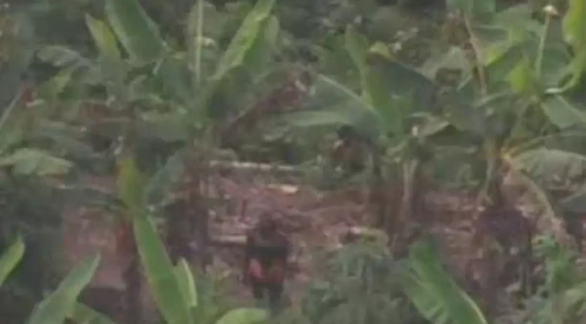 Video | Iată prima înregistrare video a unui trib izolat din jungla amazoniană!