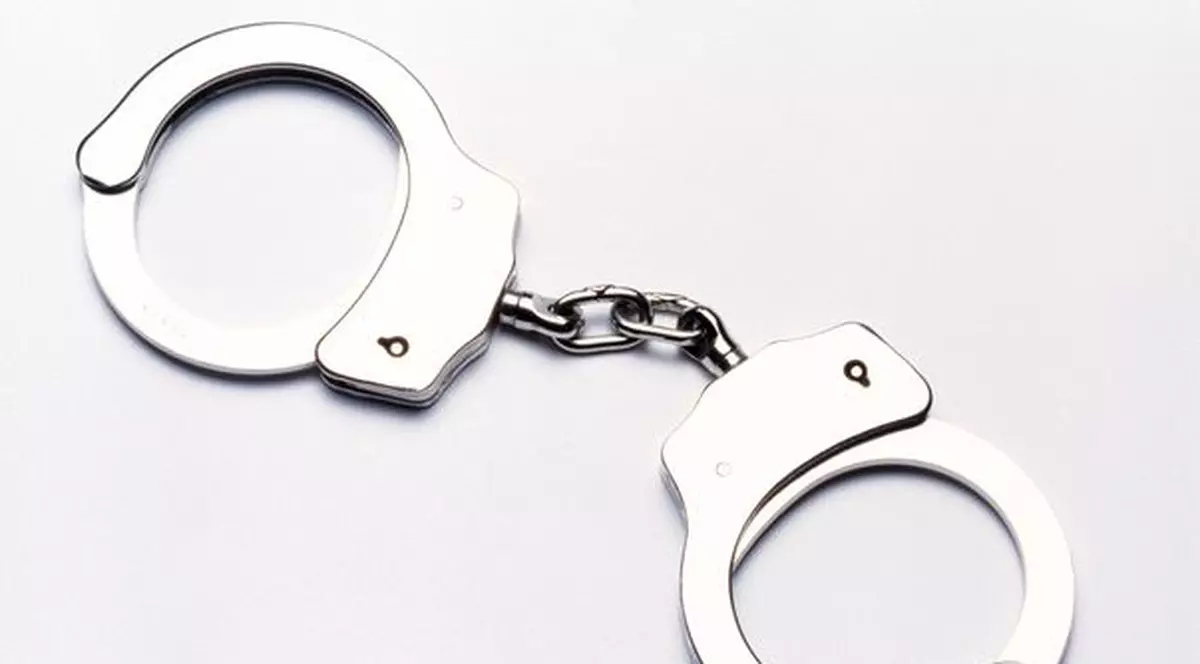 Cinci tineri din Brăila au omorât o bătrână pentru 2 lei, un telefon mobil și 8 găini