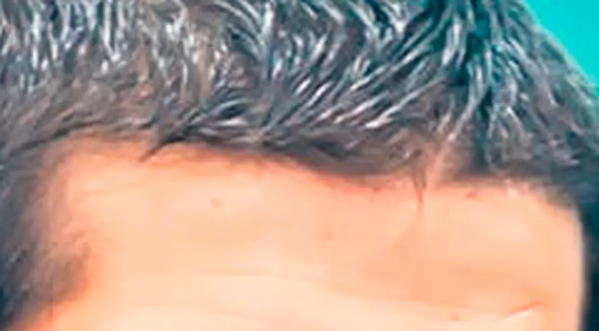 Se retrage Cristi Chivu?