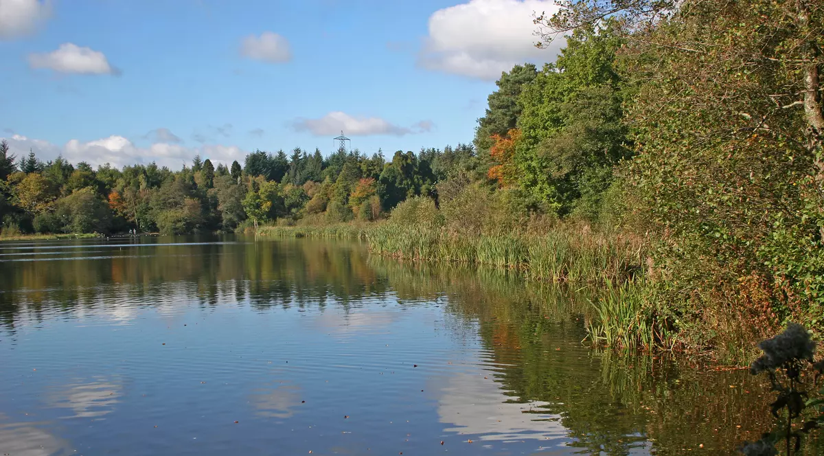 Criminali prinși după opt luni de căutări