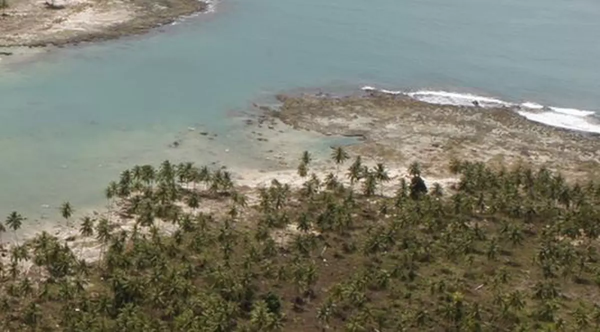 Directorul Institutului de Fizică a Pământului: "Dacă ai cutremur peste 7,5 grade e sigur în proporţie de 90% că va fi tsunami"