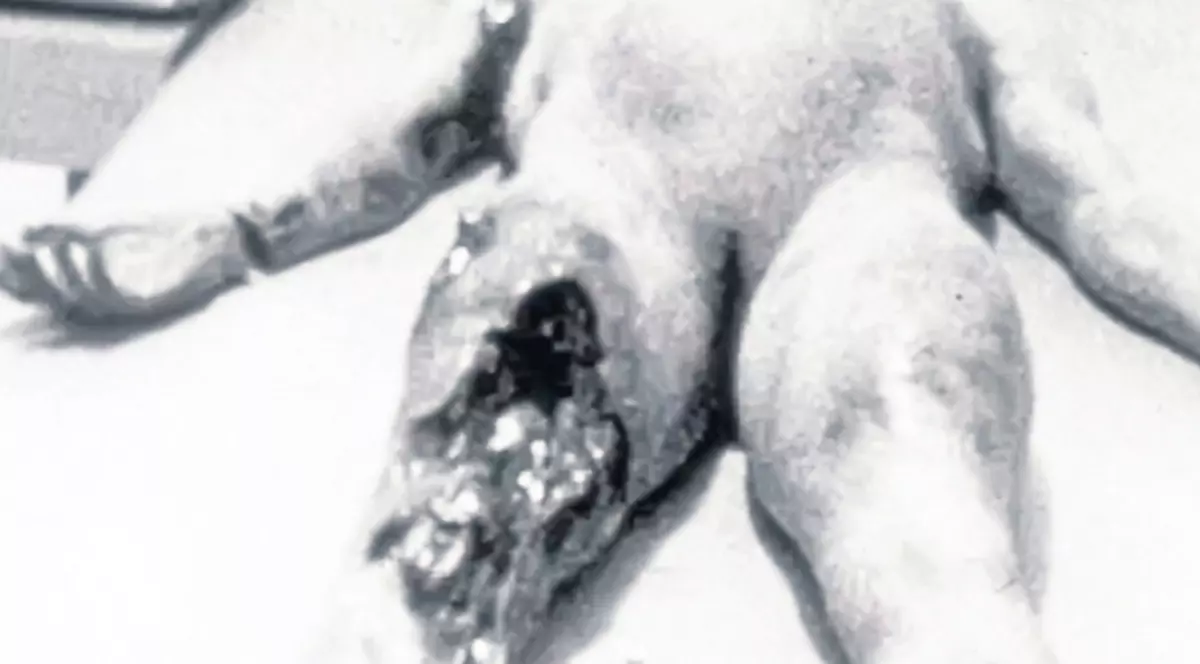 Video | Un raport FBI confirmă: extratereştrii chiar există!