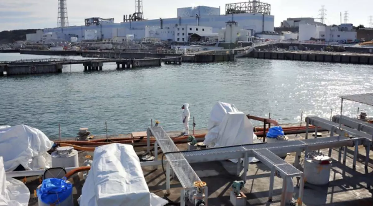 Apa radioactivă ce a ajuns în Oceanul Pacific poate provoca mutații genetice