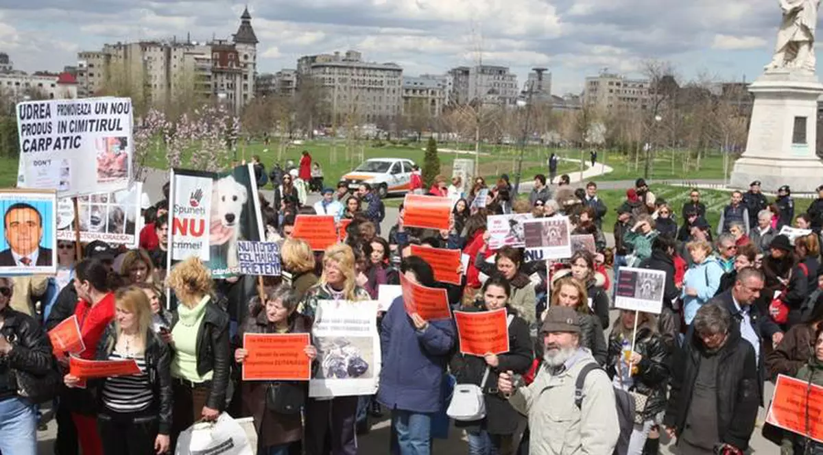 Iubitorii de animale le-au blocat mailurile deputaţilor