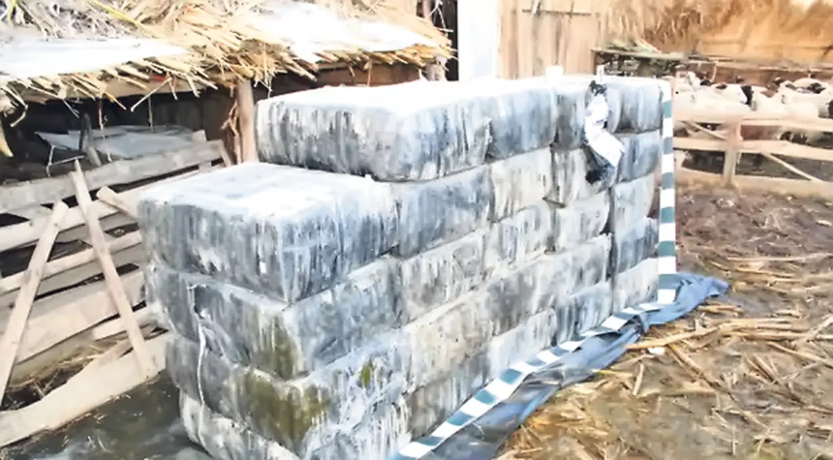 Mii de pachete de ţigări... la stână