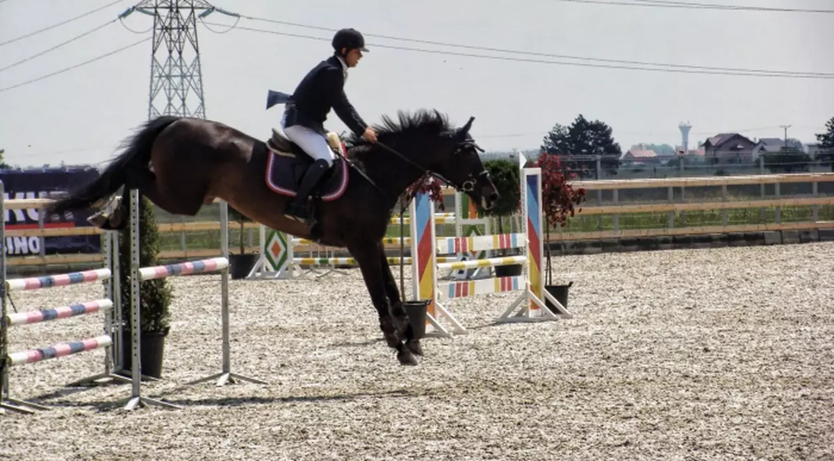 Peste 115 călăreţi s-au întrecut în probele de sărituri peste obstacole. Maria Băsescu i-a premiat